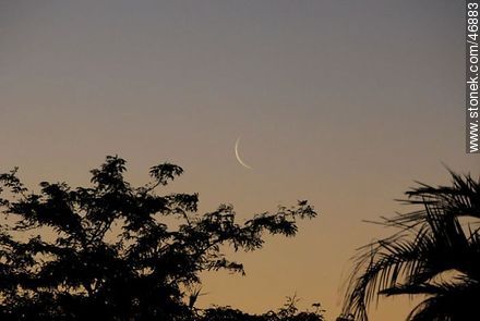 New moon - Department of Rocha - URUGUAY. Photo #46883