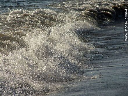 Foam on the shore - Department of Maldonado - URUGUAY. Photo #47563