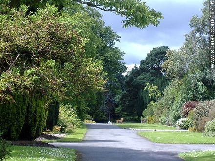 Botanical Garden of Dublin.  - Ireland - BRITISH ISLANDS. Photo #48716