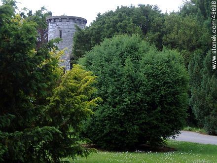 Botanical Garden of Dublin - Ireland - BRITISH ISLANDS. Photo #48698