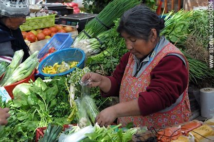 Lady selling vegetables - Chile - Others in SOUTH AMERICA. Photo #50024