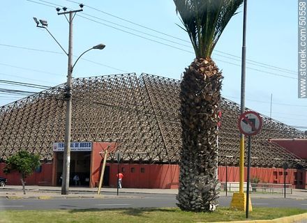 Bus terminal station of Arica - Chile - Others in SOUTH AMERICA. Photo #50558