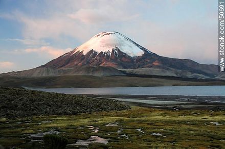 El volcán Parinacota de los Nevados de Payachata, y el lago Chungará. Altitud: 4580m - Chile - Otros AMÉRICA del SUR. Foto No. 50691