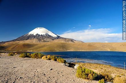 Parinacota volcano, lake Chungará. - Chile - Others in SOUTH AMERICA. Photo #51763