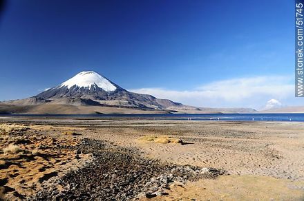 Parinacota volcano, lake Chungará. - Chile - Others in SOUTH AMERICA. Photo #51745