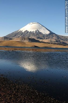 Parinacota volcano, lake Chungará. - Chile - Others in SOUTH AMERICA. Photo #51730
