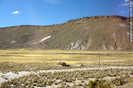 Llamas en el altiplano boliviano - Bolivia - Otros AMÉRICA del SUR. Foto No. 51821