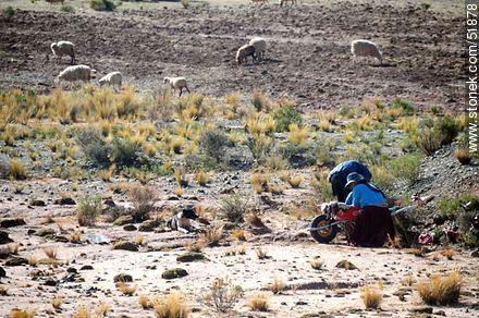 Campesinos bolivianos a la vera del camino con su perro - Bolivia - Otros AMÉRICA del SUR. Foto No. 51878