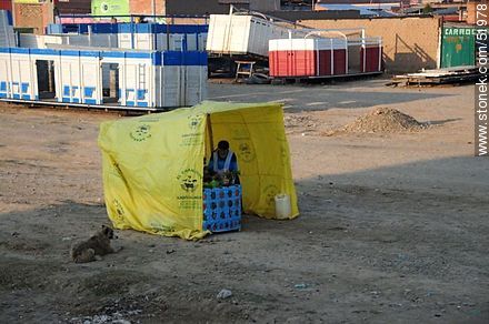 El Alto. Bolivian informal seller - Bolivia - Others in SOUTH AMERICA. Photo #51978