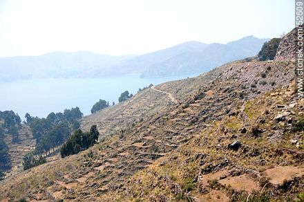 Cultivated zones on the slopes of the mountains of Lake Titicaca - Bolivia - Others in SOUTH AMERICA. Photo #52609