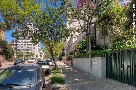 La calle Ellauri entre Massini y Guayaquí - Departamento de Montevideo - URUGUAY. Foto No. 53921