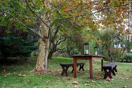 Chairs and table in the garden - Punta del Este and its near resorts - URUGUAY. Photo #54563