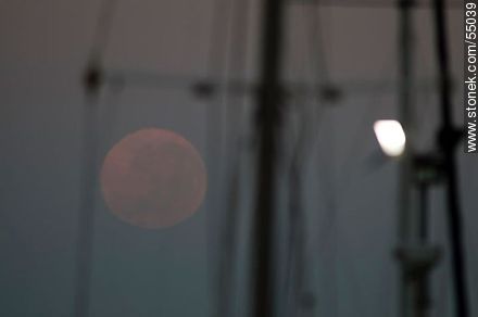 Luna llena al amanecer entre mástiles de veleros - Departamento de Maldonado - URUGUAY. Foto No. 55039