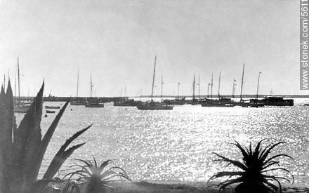 Sailboats in the port - Punta del Este and its near resorts - URUGUAY. Photo #56175