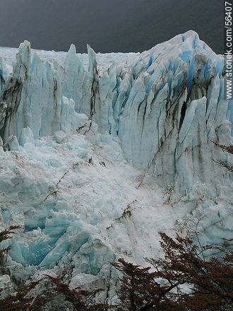 Glaciar Perito Moreno -  - ARGENTINA. Foto No. 56407