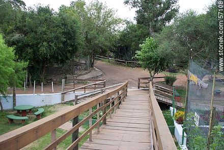 Salto Municipal Zoo.  - Department of Salto - URUGUAY. Photo #57108