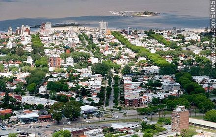 Vista aérea de Malvín. La calle Amazonas. - Departamento de Montevideo - URUGUAY. Foto No. 59005