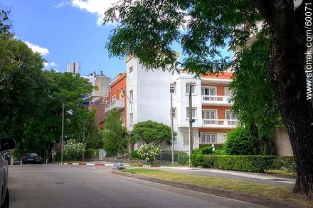 Echevarriarza and Marco Bruto streets - Department of Montevideo - URUGUAY. Photo #60071