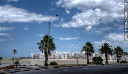Pocitos Beach, view from the promenade Rep. of Peru - Department of Montevideo - URUGUAY. Photo #60040