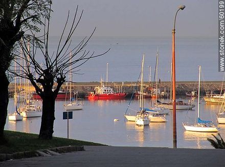 Puerto del Buceo al atardecer - Departamento de Montevideo - URUGUAY. Foto No. 60199