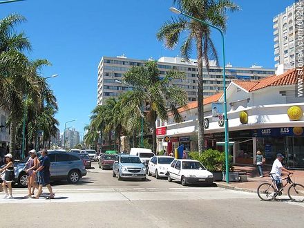 Gorlero Avenue. Cambio Gales - Punta del Este and its near resorts - URUGUAY. Photo #60294