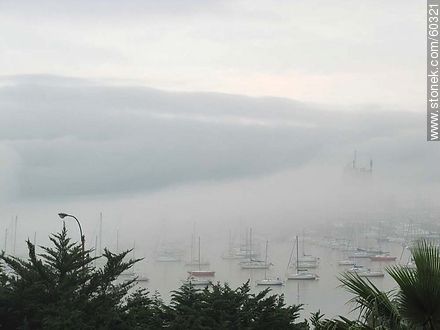 Dense fog in Buceo - Department of Montevideo - URUGUAY. Photo #60321