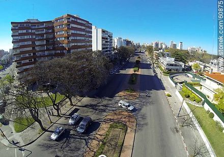 Aerial view of Bulevar Artigas facing south - Department of Montevideo - URUGUAY. Photo #60875