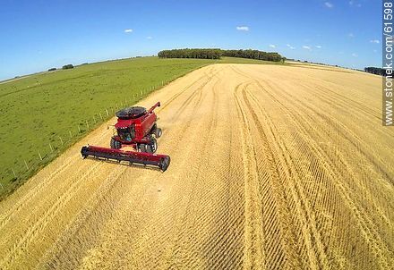 Aerial photo of a combine in a wheat field - Durazno - URUGUAY. Photo #61598