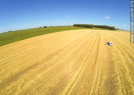 Aerial view of harvested wheat field - Durazno - URUGUAY. Photo #61578