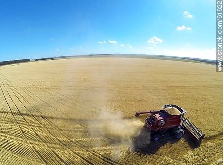 Aerial photo of a combine in a wheat field - Durazno - URUGUAY. Photo #61622