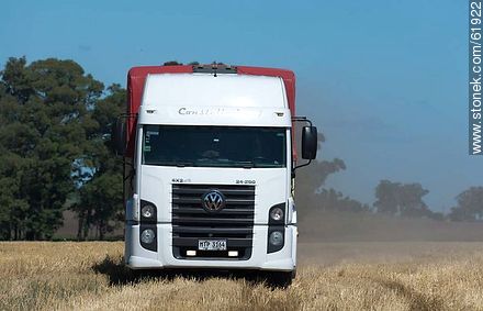Camión de carga de granos recién cosechados - Departamento de Durazno - URUGUAY. Foto No. 61922
