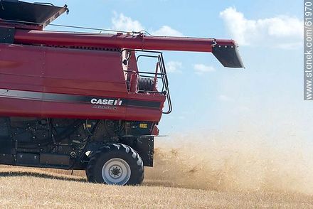 Massey Ferguson combine harvester on a wheat field -  - URUGUAY. Photo #61970