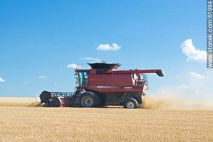 Massey Ferguson combine harvester on a wheat field - Durazno - URUGUAY. Photo #61984
