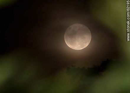Full moon in the mist - Department of Montevideo - URUGUAY. Photo #62195