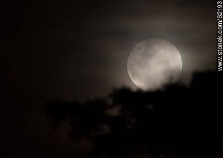 Luna llena entre la niebla -  - IMÁGENES VARIAS. Foto No. 62193