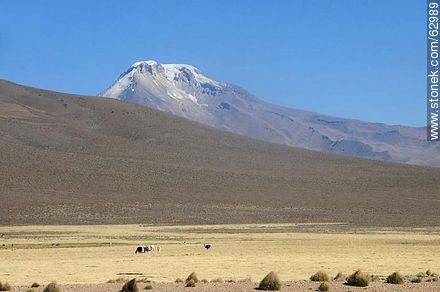 Parque Sajama - Bolivia - Otros AMÉRICA del SUR. Foto No. 62989