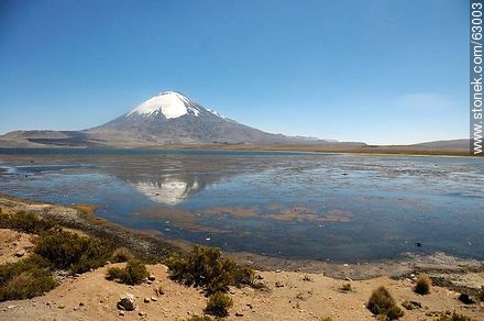 Snowy Volcano Parinacota and Lake Chungará - Chile - Others in SOUTH AMERICA. Photo #63003