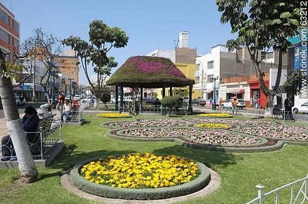Garden flowerbeds Paseo Civico - Perú - Others in SOUTH AMERICA. Photo #63212