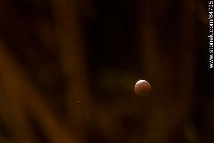 Total Eclipse of the Moon, 2014 -  - MORE IMAGES. Photo #64705