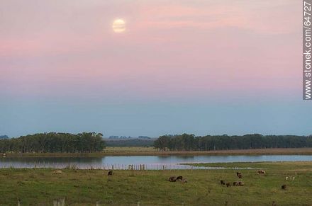Full moon in the field at sunset - Tacuarembo - URUGUAY. Photo #64727