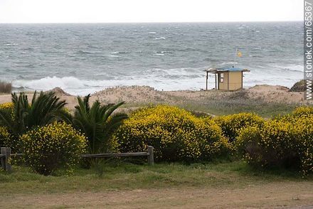 Aromos, dunes and lifeguard stand - Department of Maldonado - URUGUAY. Photo #65367