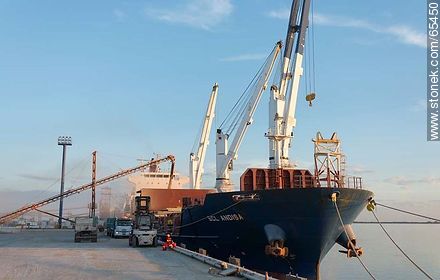 Grain load to ship - Department of Colonia - URUGUAY. Photo #65450