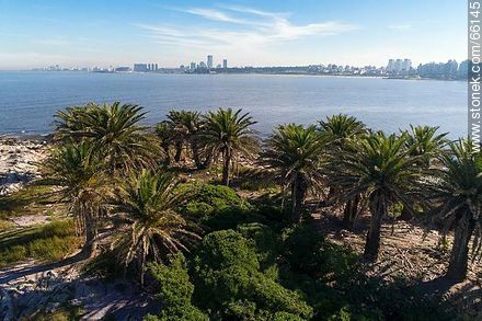 Aerial photo of Isla de las Gaviotas (Seagulls Island) - Department of Montevideo - URUGUAY. Photo #66145