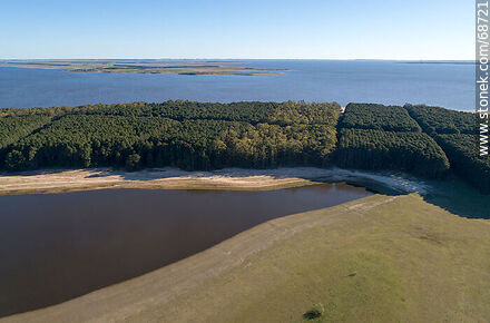 Aerial view of pine forests and beaches of San Gregorio de Polanco - Tacuarembo - URUGUAY. Photo #68721