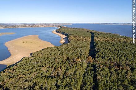 Aerial view of pine forests and beaches of San Gregorio de Polanco - Tacuarembo - URUGUAY. Photo #68734