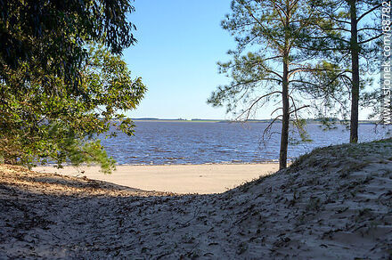 Playa sobre el río Negro. Enfrente el departamento de Durazno - Departamento de Tacuarembó - URUGUAY. Foto No. 68782