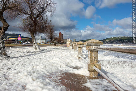 The promenade dotted with sea foam - Department of Maldonado - URUGUAY. Photo #71709
