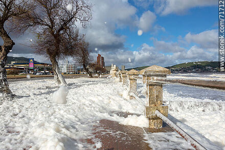 The promenade dotted with sea foam - Department of Maldonado - URUGUAY. Photo #71712