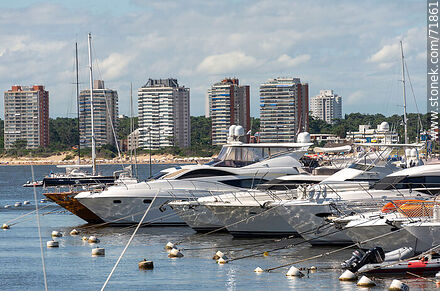 Boats in port - Punta del Este and its near resorts - URUGUAY. Photo #71861