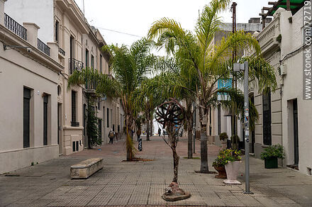 Pedestrian Perez Castellano - Department of Montevideo - URUGUAY. Photo #72719